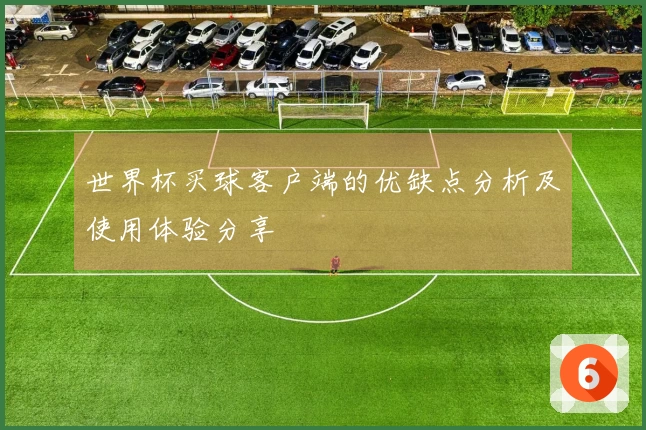 世界杯买球客户端的优缺点分析及使用体验分享