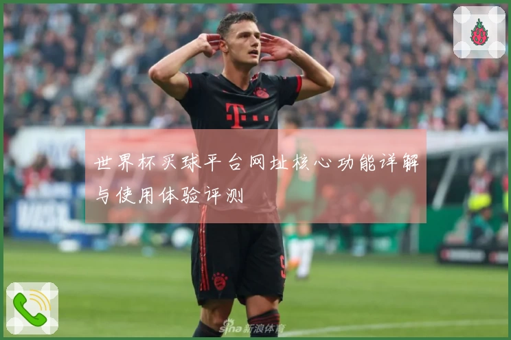 世界杯买球平台网址核心功能详解与使用体验评测