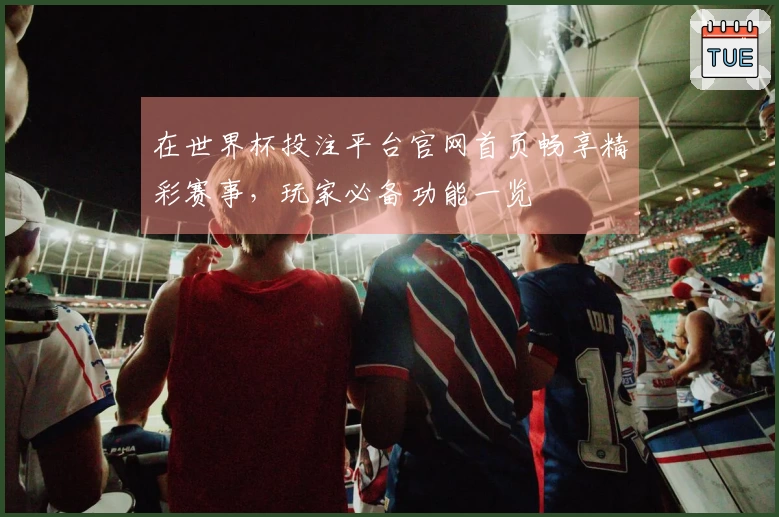 在世界杯投注平台官网首页畅享精彩赛事，玩家必备功能一览